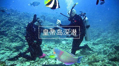 泰国一列车与卡车相撞 多人受伤